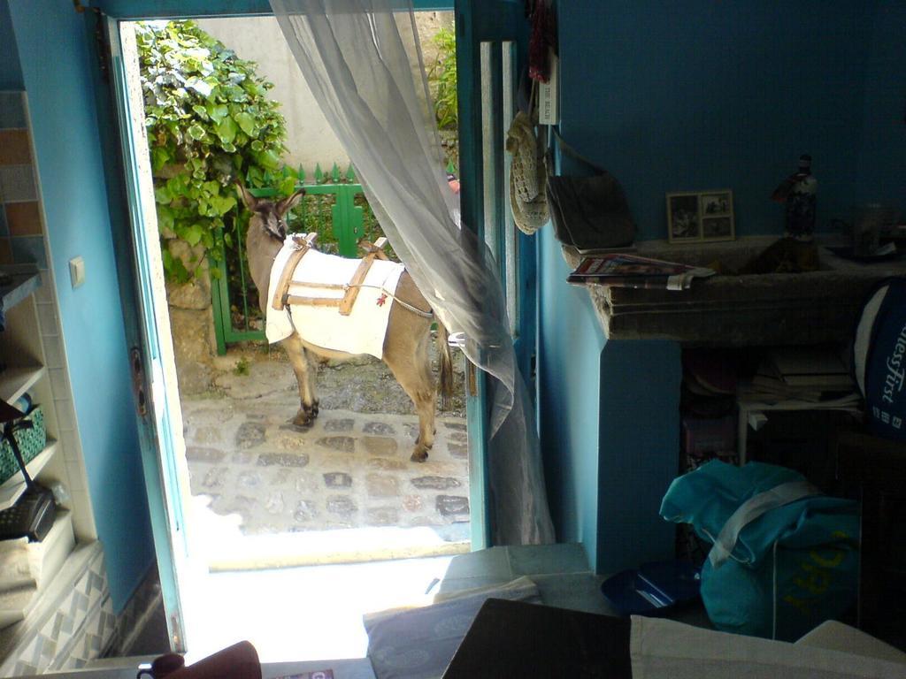 Apartamento Blue Bench Krk Krk Town Habitación foto